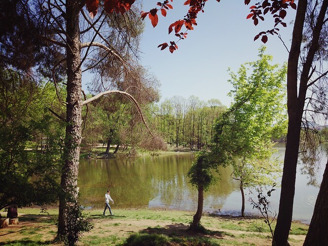Lago-Artificiale-di-Tirana-Parco